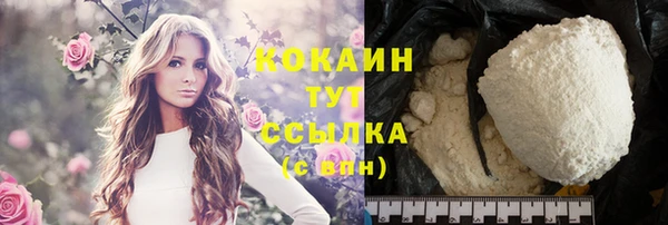 ПСИЛОЦИБИНОВЫЕ ГРИБЫ Бородино