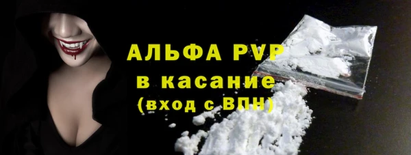 ПСИЛОЦИБИНОВЫЕ ГРИБЫ Бородино