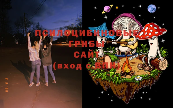 гашик Бронницы