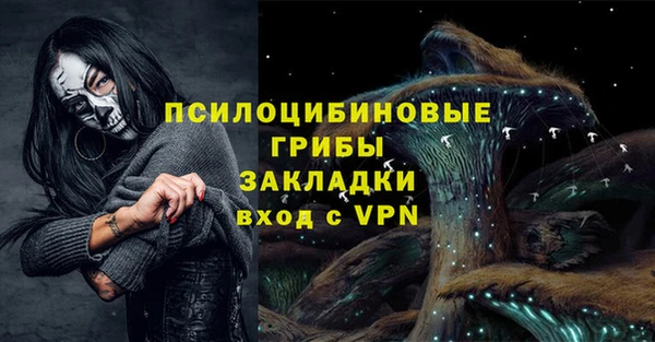 ПСИЛОЦИБИНОВЫЕ ГРИБЫ Бородино