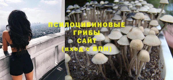 ПСИЛОЦИБИНОВЫЕ ГРИБЫ Бородино