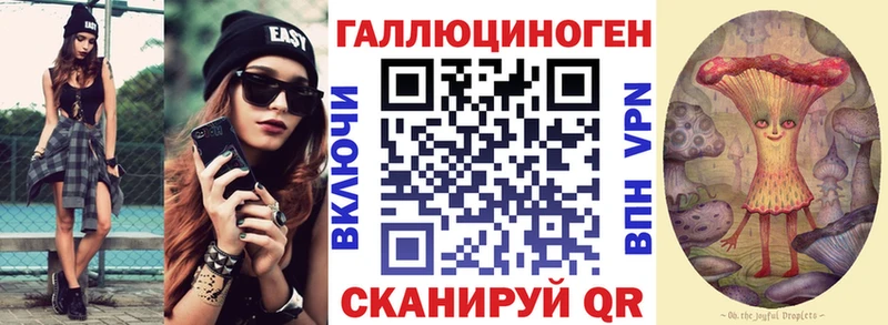 Купить  Карачев  Псилоцибиновые грибы Psilocybine cubensis 